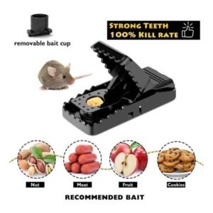 mouse rat traps