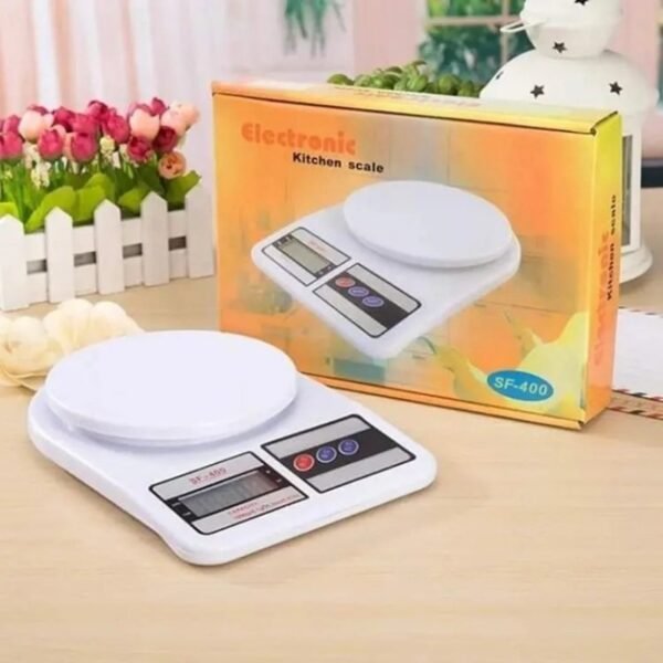 Electronic Personal Scale